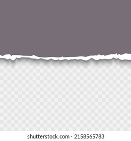 Talla rota de papel gris de hoja del diseño de papel de plantilla realista del vector inferior.