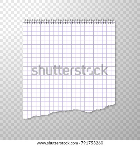 Torn Piece of Squared Paper from Spiral Bound Notebook. Clean or Blank Page Isolated on Transparent Background. Torn off Piece White Paper. Squared Album Page for Drawing or Artistic Sketches. Vector 