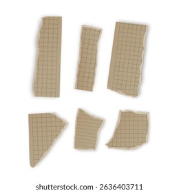 Torn Pieces of Lined and Grid Paper