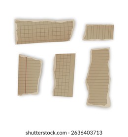 Torn Pieces of Lined and Grid Paper