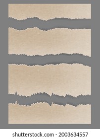 Torn ripped cardboard. Textured vector