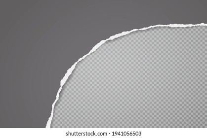 La tira de papel gris oscuro despedazado con sombra suave se encuentra en el fondo cuadrado del texto. Ilustración del vector