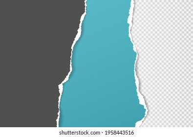 Torn, ripped dark grey and turquoise paper strips with soft shadow are on squared background for text. Vector illustration