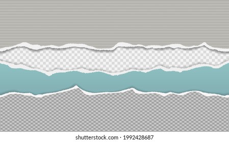 Torn, ripped, green grey paper strips with soft shadow are on squared background for text. Vector illustration