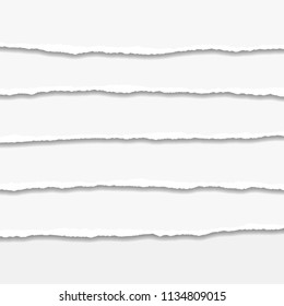 Torn or ripped Paper Edge. Vector illustration