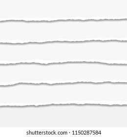 Torn or ripped Paper Edge. Vector illustration