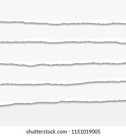 Torn or ripped Paper Edge. Vector illustration