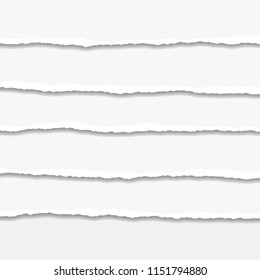 Torn or ripped Paper Edge. Vector illustration