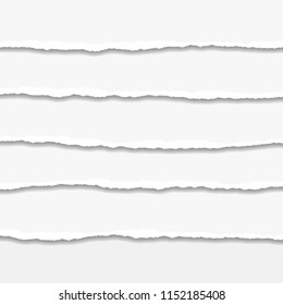 Torn or ripped Paper Edge. Vector illustration