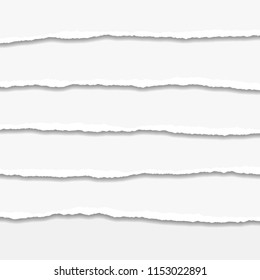 Torn or ripped Paper Edge. Vector illustration
