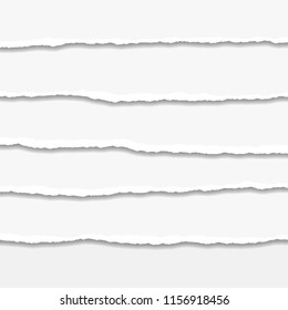 Torn or ripped Paper Edge. Vector illustration