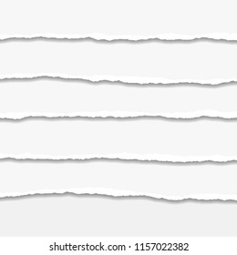 Torn or ripped Paper Edge. Vector illustration