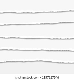 Torn or ripped Paper Edge. Vector illustration