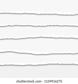 Torn or ripped Paper Edge. Vector illustration