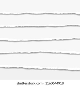 Torn or ripped Paper Edge. Vector illustration