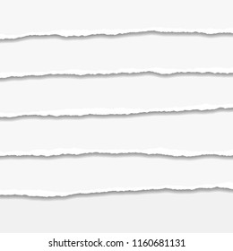 Torn or ripped Paper Edge. Vector illustration