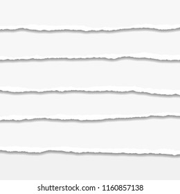 Torn or ripped Paper Edge. Vector illustration