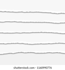 Torn or ripped Paper Edge. Vector illustration