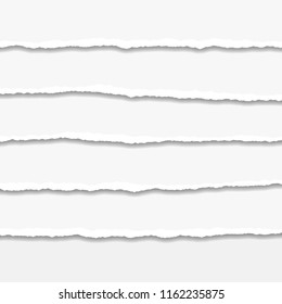 Torn or ripped Paper Edge. Vector illustration