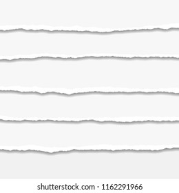 Torn or ripped Paper Edge. Vector illustration