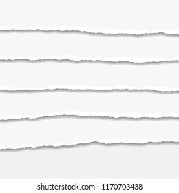 Torn or ripped Paper Edge. Vector illustration