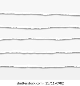 Torn or ripped Paper Edge. Vector illustration