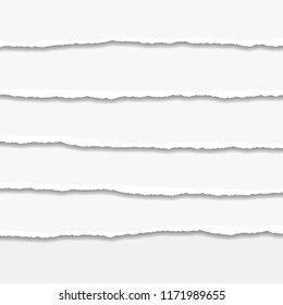 Torn or ripped Paper Edge. Vector illustration