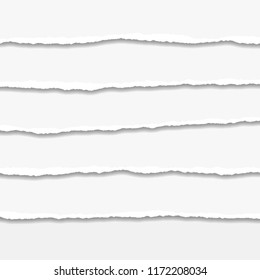 Torn or ripped Paper Edge. Vector illustration