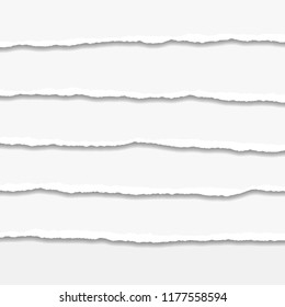 Torn or ripped Paper Edge. Vector illustration