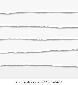 Torn or ripped Paper Edge. Vector illustration