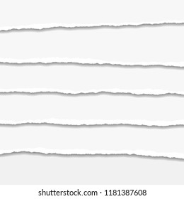 Torn or ripped Paper Edge. Vector illustration
