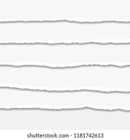 Torn or ripped Paper Edge. Vector illustration