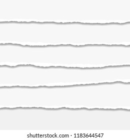 Torn or ripped Paper Edge. Vector illustration