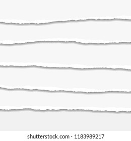 Torn or ripped Paper Edge. Vector illustration