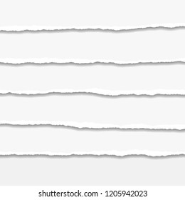 Torn or ripped Paper Edge. Vector illustration