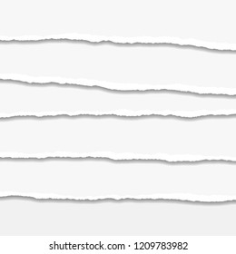 Torn or ripped Paper Edge. Vector illustration