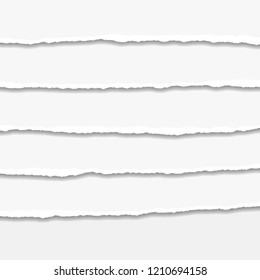 Torn or ripped Paper Edge. Vector illustration