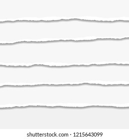 Torn or ripped Paper Edge. Vector illustration
