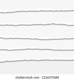 Torn or ripped Paper Edge. Vector illustration