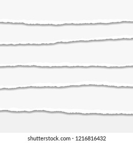 Torn or ripped Paper Edge. Vector illustration