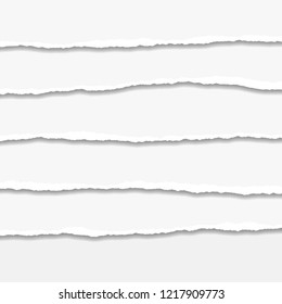 Torn or ripped Paper Edge. Vector illustration