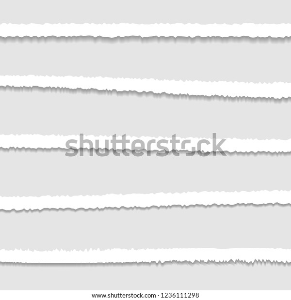 Torn or ripped\
Paper Edge. Vector\
illustration