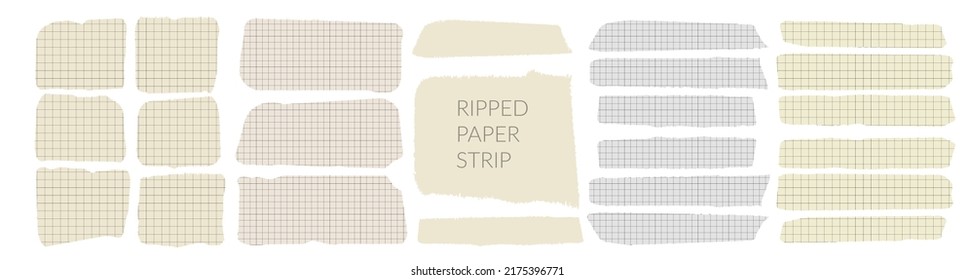 Torn ripped paper rectangle shape vector illustration. Cutout collage piece, shred strip, cut sheets with square grid. Blank horizontal note. Calligraphy border, isolated grunge header background