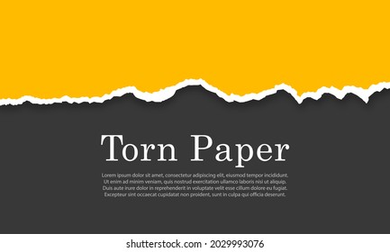 Torn, ripped paper strips. Damaged cardboard borders.