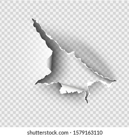 Torn ripped paper vector template, sides with ripped edges on realistic paper background. 