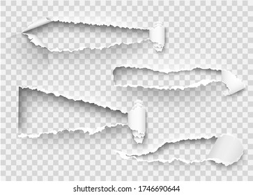 Torn ripped paper vector template, sides with ripped edges on realistic paper background. 