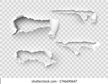 Torn ripped paper vector template, sides with ripped edges on realistic paper background. 