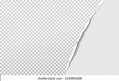 Torn, ripped piece of grey and white squared paper with soft shadow. Background for text. Vector illustration
