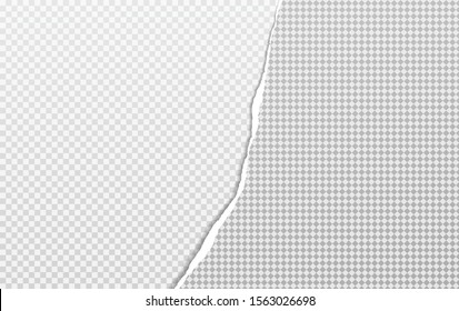 Torn, ripped piece of grey and white squared paper with soft shadow. Background for text. Vector illustration