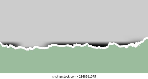 Pieza desgarrada de papel horizontal inferior verde con sombra suave de fondo gris ilustración vectorial